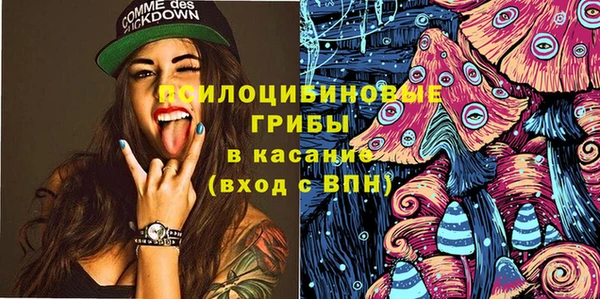 гидра Алексеевка