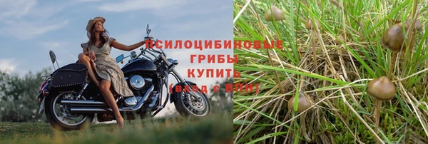 первитин Алзамай