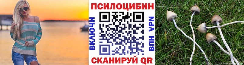 Псилоцибиновые грибы Magic Shrooms  наркотики  Новоаннинский 